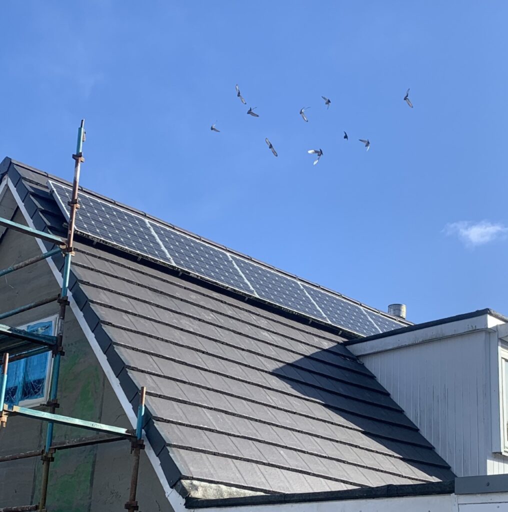 Can I put solar panels on my roof? A Guide to PV Solar Panels