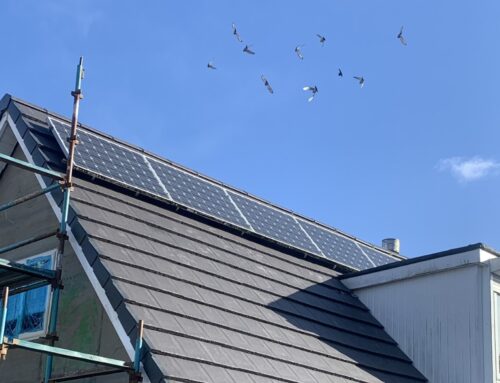 Average Cost of Solar Panels Glasgow